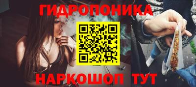 прущие грибы Малоярославец
