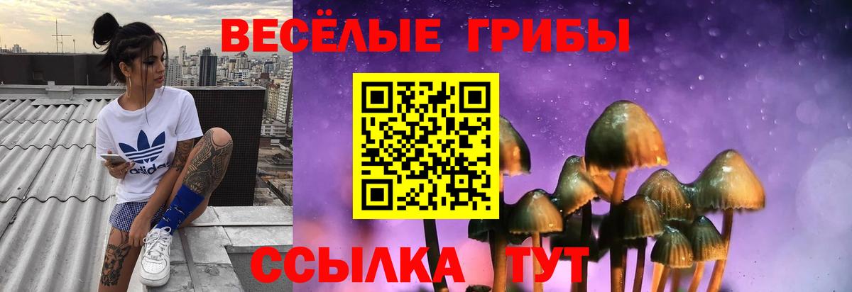 Псилоцибиновые грибы мицелий  Вход с VPN  Зеленокумск  Галлюциногенные грибы мухоморы 